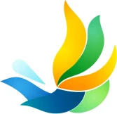 ГЕРМАН ЮЛИЯ ВАДИМОВНА